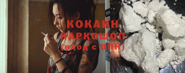 spice Алексин