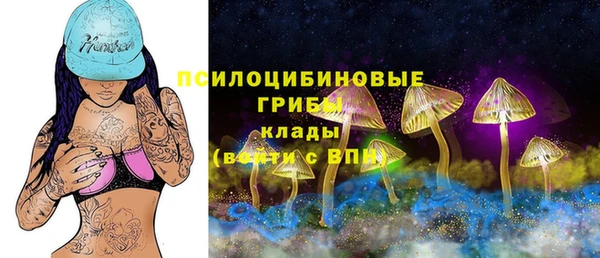 спайс Абаза