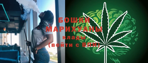 spice Алексин